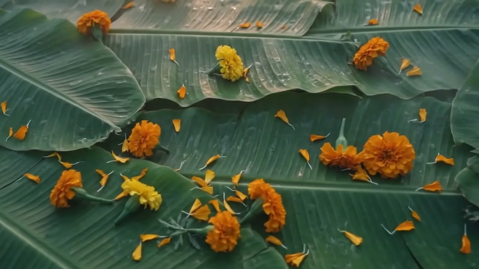 Marigolds and banana leaves collected after a Bengaluru celebration